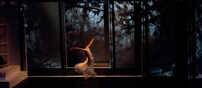Garden of Delights, 2012 (NYIT Nominee)